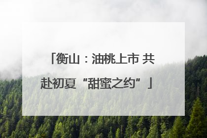 衡山：油桃上市 共赴初夏“甜蜜之约”