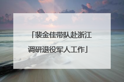 裴金佳带队赴浙江调研退役军人工作