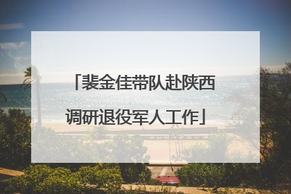 裴金佳带队赴陕西调研退役军人工作