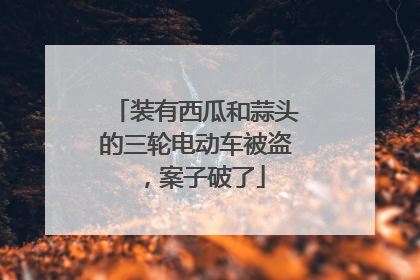 装有西瓜和蒜头的三轮电动车被盗，案子破了