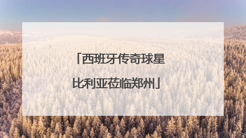 西班牙传奇球星 比利亚莅临郑州