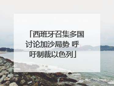 西班牙召集多国讨论加沙局势 呼吁制裁以色列