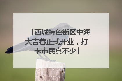 西城特色街区中海大吉巷正式开业，打卡市民真不少