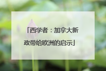 西学者：加拿大新政带给欧洲的启示