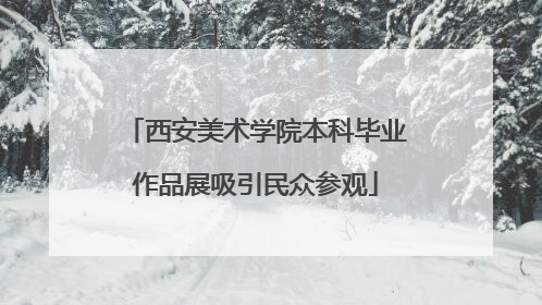 西安美术学院本科毕业作品展吸引民众参观