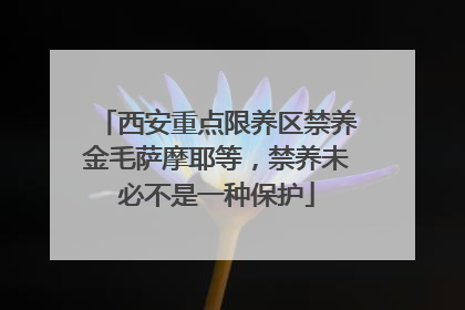 西安重点限养区禁养金毛萨摩耶等，禁养未必不是一种保护