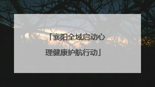 襄阳全域启动心理健康护航行动