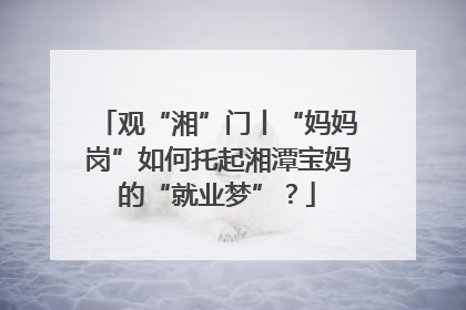 观“湘”门丨“妈妈岗”如何托起湘潭宝妈的“就业梦”？
