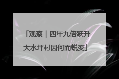 观察｜四年九倍跃升 大水坪村因何而蜕变