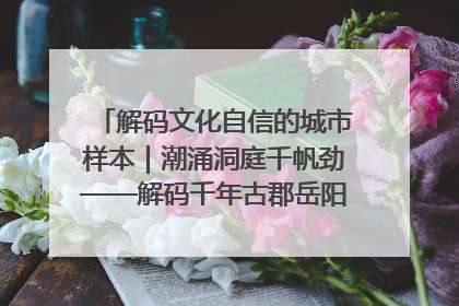 解码文化自信的城市样本｜潮涌洞庭千帆劲——解码千年古郡岳阳的文化自信样本