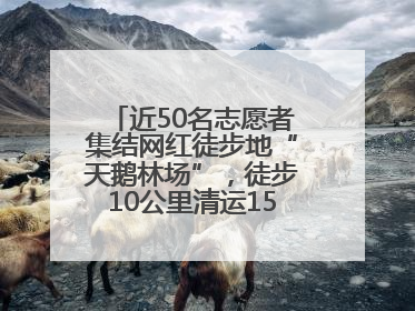 近50名志愿者集结网红徒步地“天鹅林场”，徒步10公里清运150余斤山野垃圾