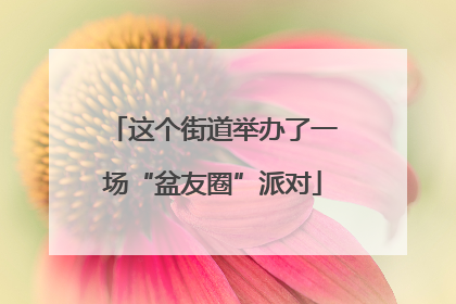 这个街道举办了一场“盆友圈”派对
