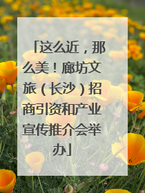这么近，那么美！廊坊文旅（长沙）招商引资和产业宣传推介会举办