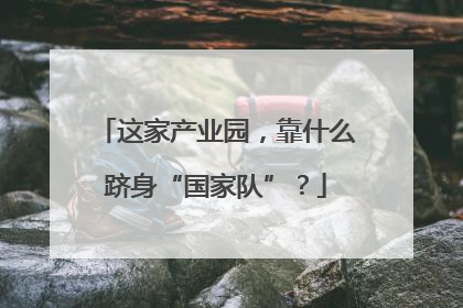 这家产业园，靠什么跻身“国家队”？