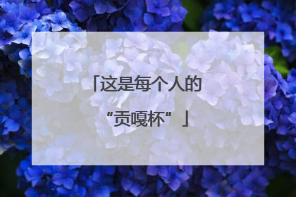 这是每个人的“贡嘎杯”