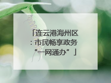 连云港海州区：市民畅享政务“一网通办”