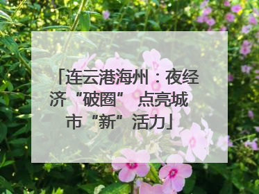 连云港海州：夜经济“破圈” 点亮城市“新”活力