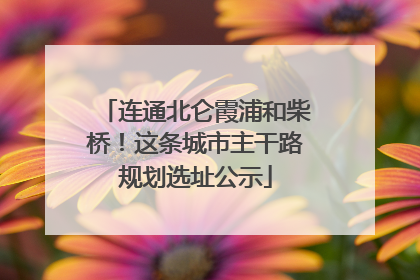连通北仑霞浦和柴桥！这条城市主干路规划选址公示