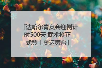 达喀尔青奥会迎倒计时500天 武术将正式登上奥运舞台