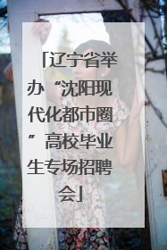 辽宁省举办“沈阳现代化都市圈”高校毕业生专场招聘会