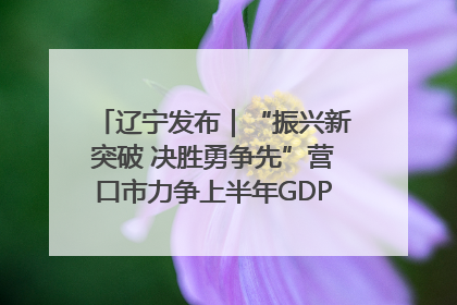辽宁发布｜“振兴新突破 决胜勇争先”营口市力争上半年GDP增长6%左右