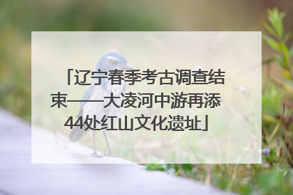 辽宁春季考古调查结束——大凌河中游再添44处红山文化遗址