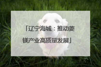 辽宁海城：推动菱镁产业高质量发展