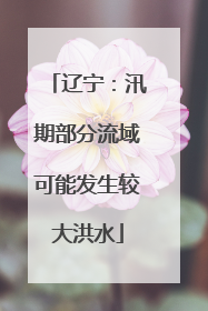 辽宁：汛期部分流域可能发生较大洪水
