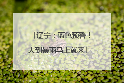 辽宁：蓝色预警！大到暴雨马上就来