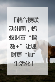 谐音梗联动出圈，蚂蚁财富“指数+”让理财更“加”生活化
