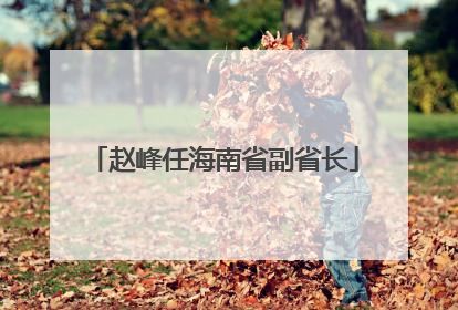 赵峰任海南省副省长