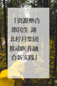 资源整合惠民生 湖北柠月集团推动医养融合新实践