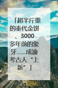 超半斤重的秦代金饼、3000多年前的象牙……成渝考古人“上新”