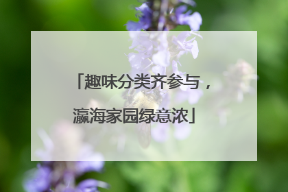 趣味分类齐参与，瀛海家园绿意浓
