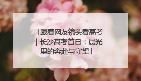 跟着网友镜头看高考｜长沙高考首日：晨光里的奔赴与守望