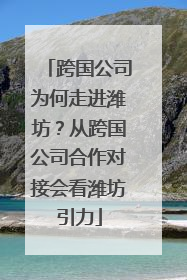 跨国公司为何走进潍坊？从跨国公司合作对接会看潍坊引力