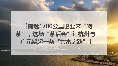 跨越1700公里也要来“喝茶”，这场“茶话会”让杭州与广元架起一条“共富之路”