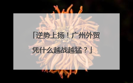 逆势上扬！广州外贸凭什么越战越猛？