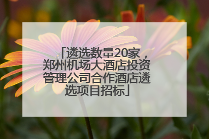 遴选数量20家，郑州机场大酒店投资管理公司合作酒店遴选项目招标
