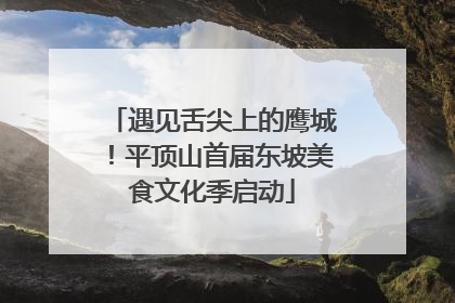 遇见舌尖上的鹰城！平顶山首届东坡美食文化季启动
