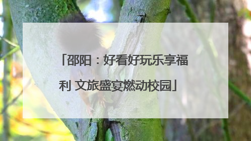 邵阳：好看好玩乐享福利 文旅盛宴燃动校园