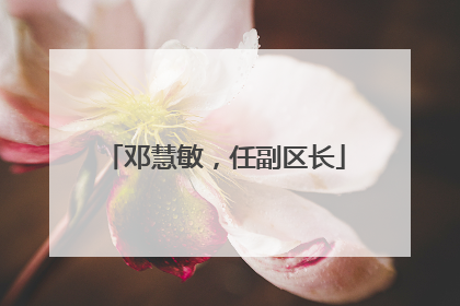 邓慧敏，任副区长