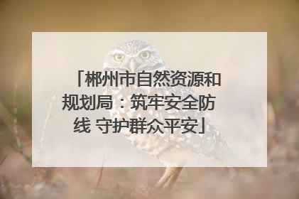 郴州市自然资源和规划局：筑牢安全防线 守护群众平安