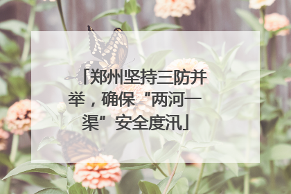 郑州坚持三防并举，确保“两河一渠”安全度汛