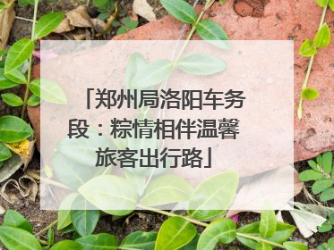 郑州局洛阳车务段：粽情相伴温馨旅客出行路