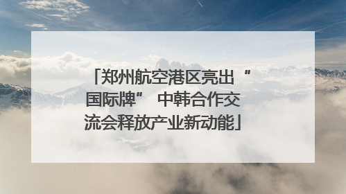 郑州航空港区亮出“国际牌” 中韩合作交流会释放产业新动能