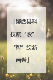 郧西县科技赋“农”“智”绘新画卷