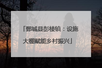 鄄城县彭楼镇：设施大棚赋能乡村振兴