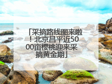 采摘路线图来啦！北京昌平近5000亩樱桃迎来采摘黄金期
