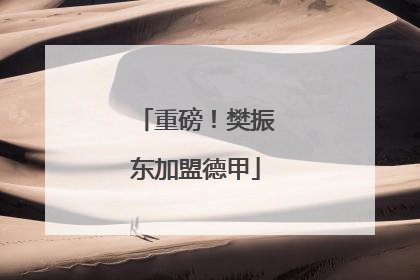 重磅！樊振东加盟德甲
